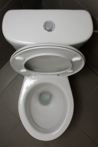 top view of a toilet with an open lid